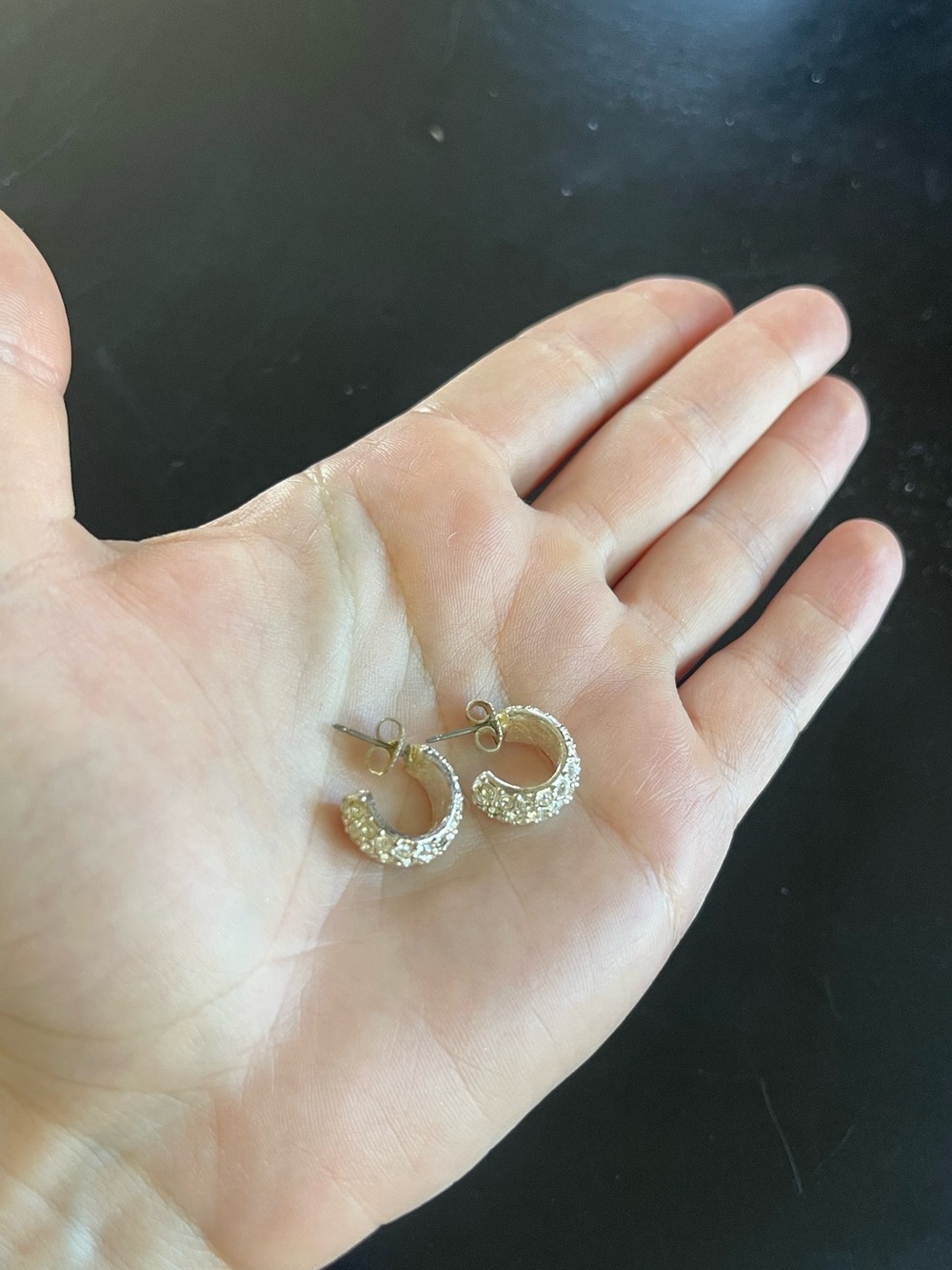 Huggie Earrings